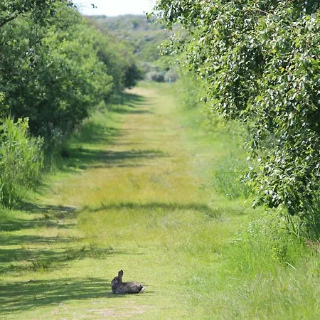 Apartmán Haus Westend Baltrum
