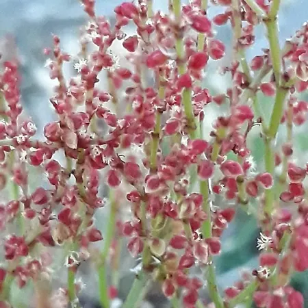 Apartment Haus Westend