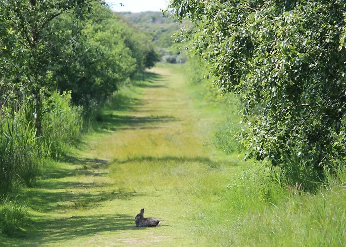 Daire Haus Westend Baltrum