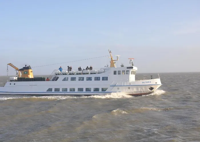 Daire Haus Westend *