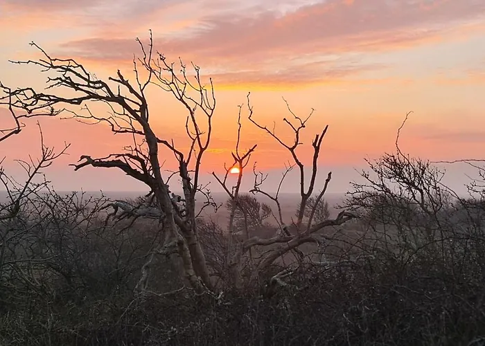 Daire Haus Westend Baltrum